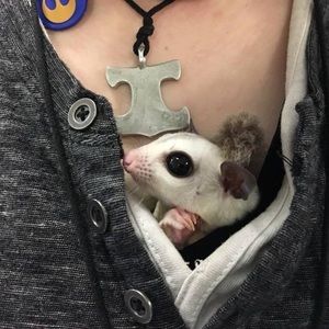 Meet your Posher, Damian